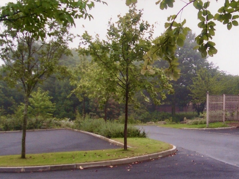 Planting is used to screen the utility areas