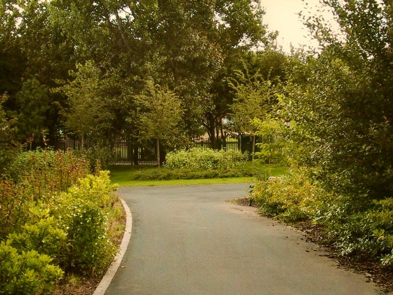 Paths weave through seasonal planting