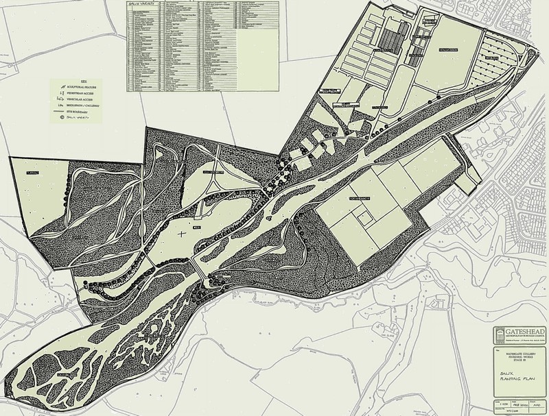 Outline planting plan including Salix locations