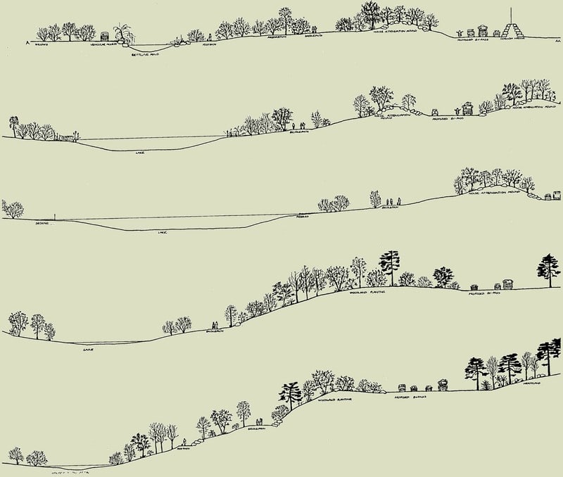 Sketches of sections throughout the park