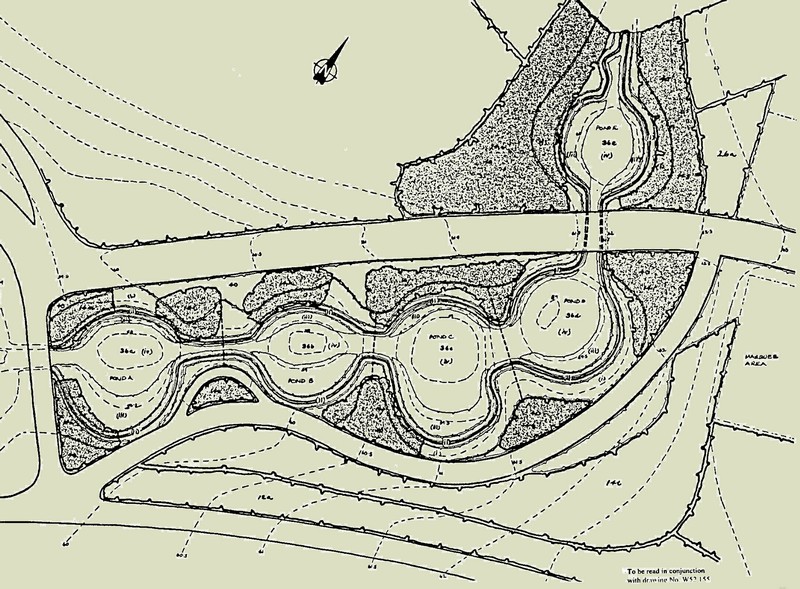 Detail of planting blocks around ponds
