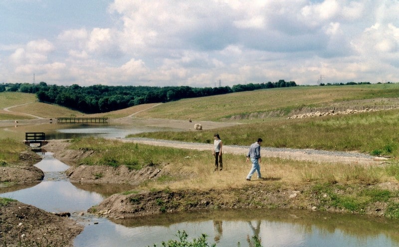 Settling ponds, prior to being planted