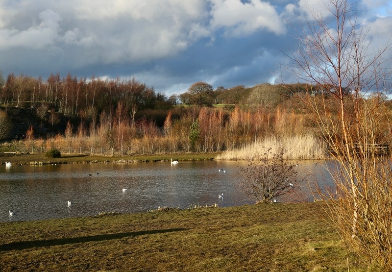 The lake in winter