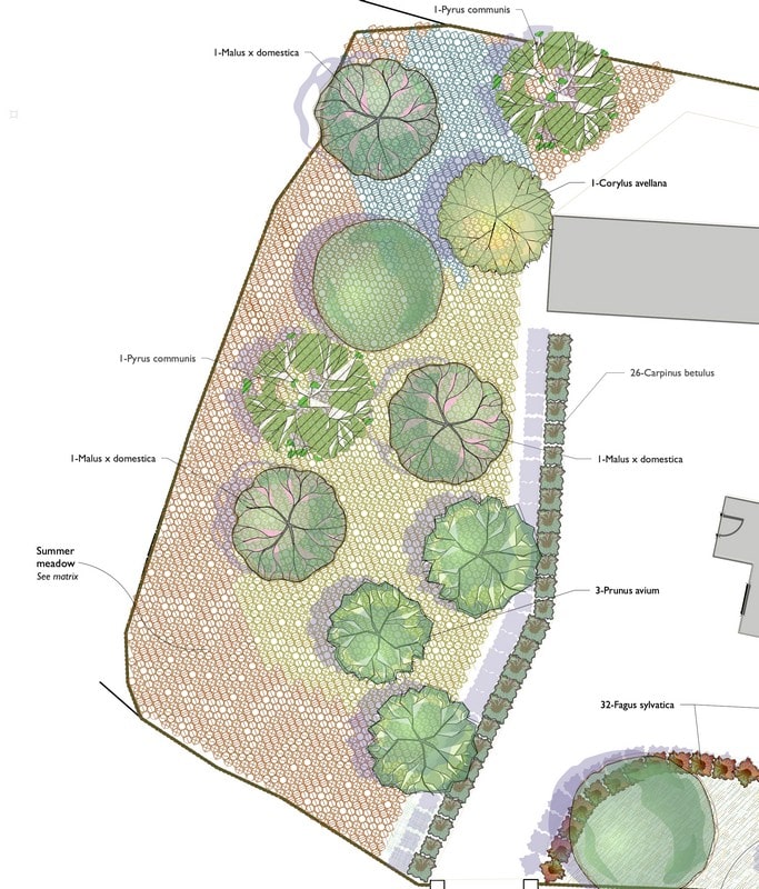 Planting plan for orchard and meadow
